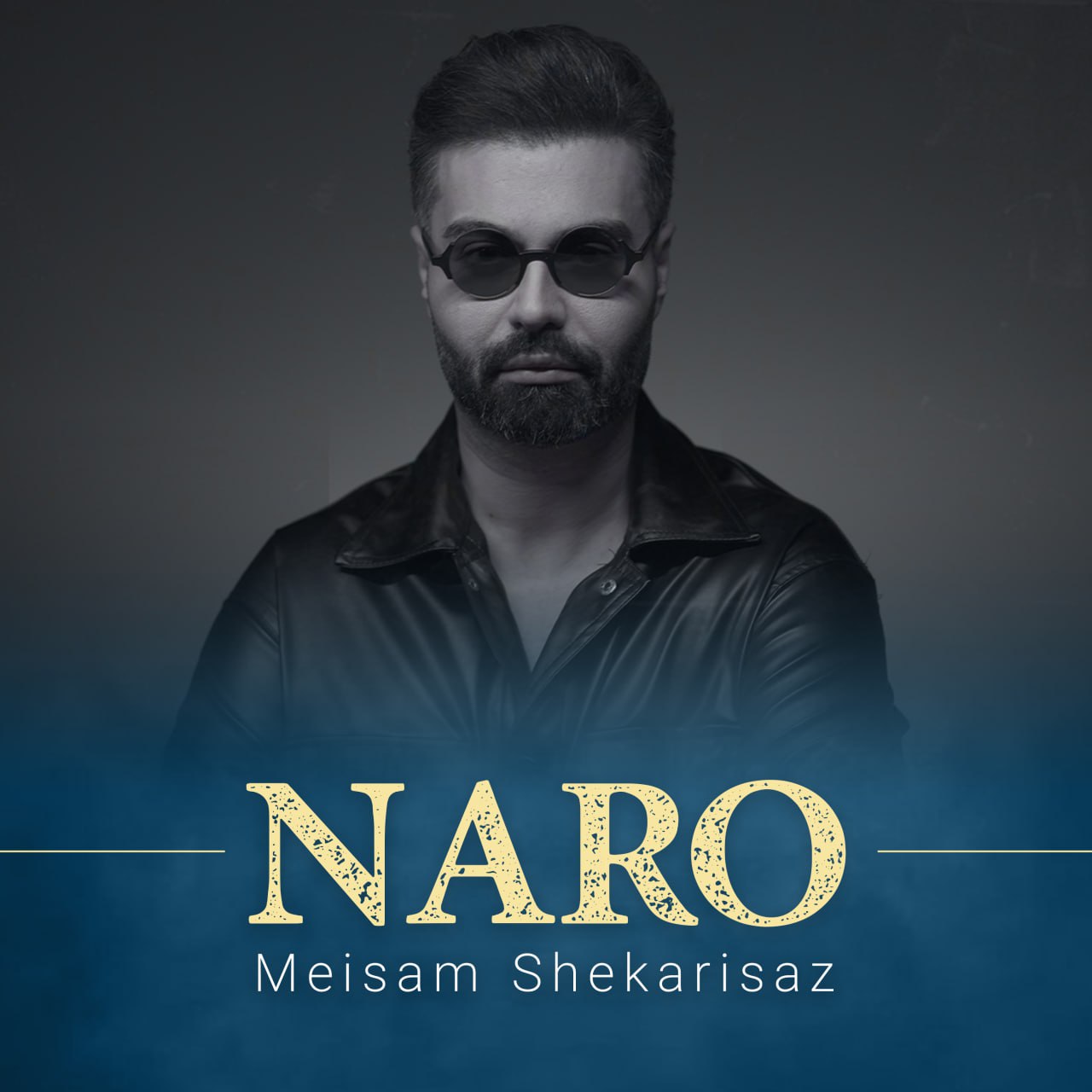 میثم شکری ساز نرو